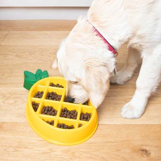 DOG-BOWLS-ZippyPaws_1.jpg
